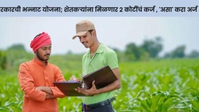 Loan Schemes For Farmers