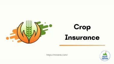 Crop Insurance Update