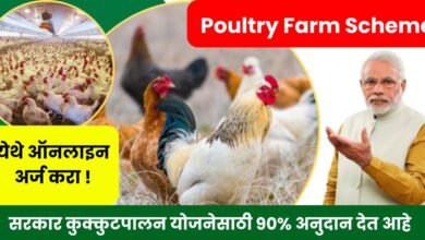 Poultry Farm Scheme