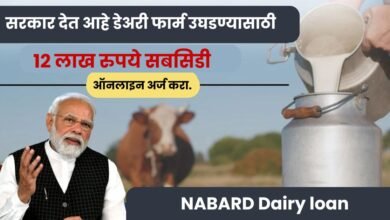 NABARD Dairy loan